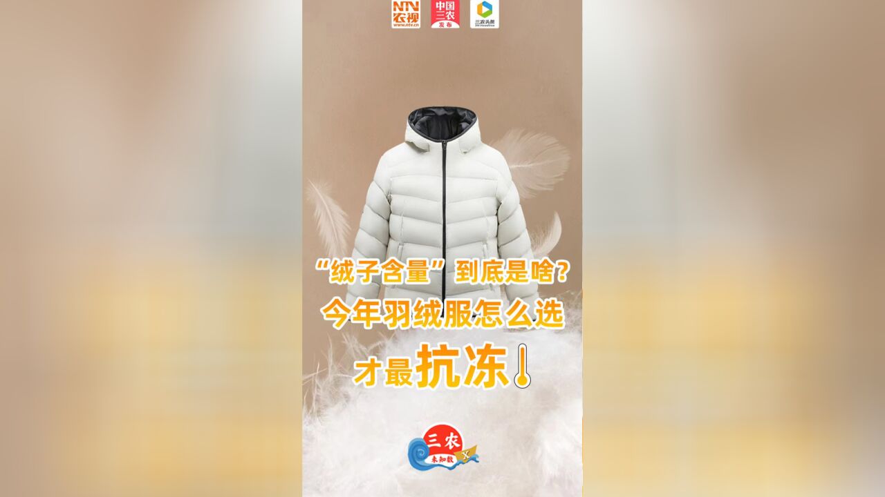 三农未知数丨“绒子含量”到底是啥?今年羽绒服怎么选才最抗冻?