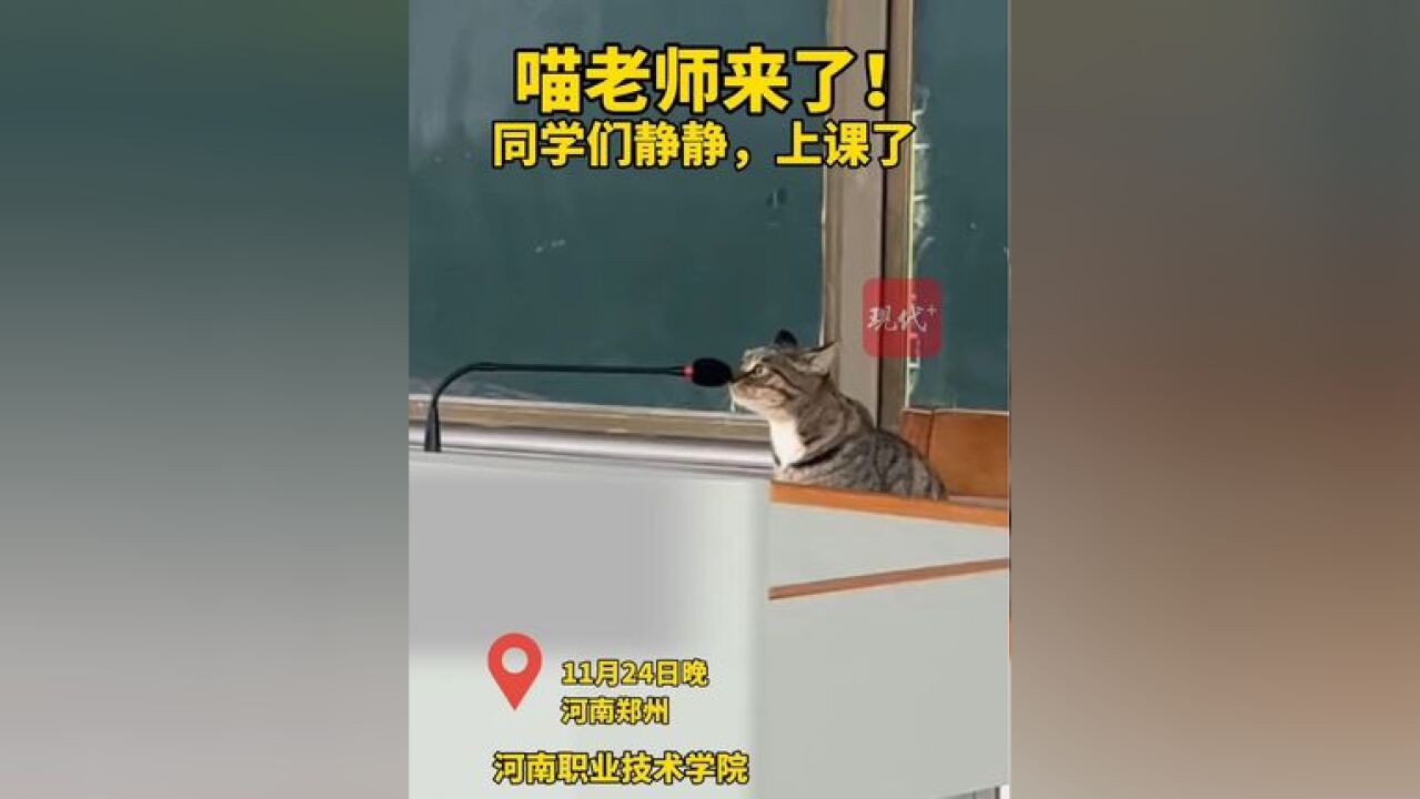 同学们静静!本喵老师上课了!