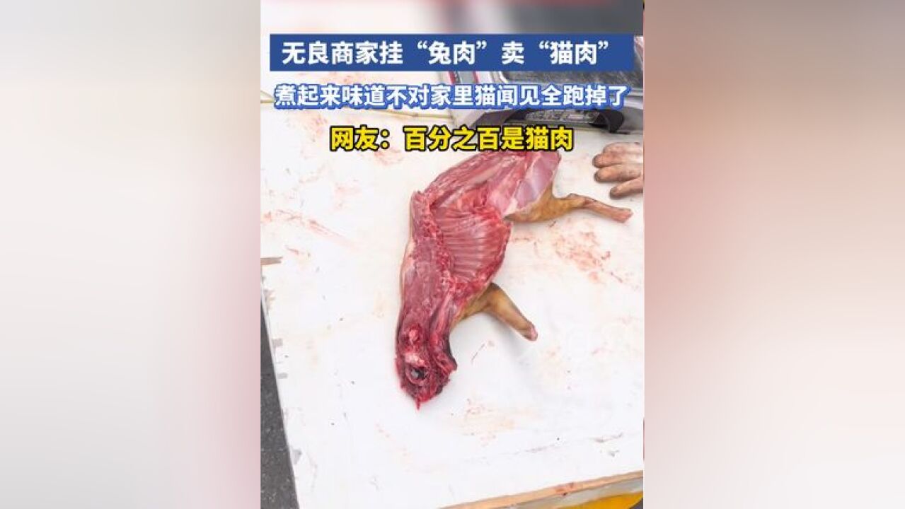 无良商家挂“兔肉”卖“猫肉”,煮起来味道不对家里猫闻见全跑掉了,网友:百分之百是猫肉