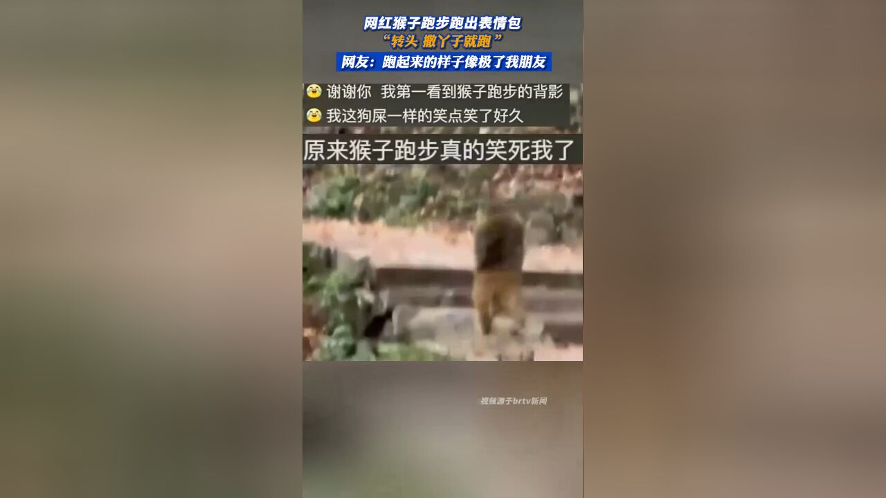 网红猴子跑步跑出表情包