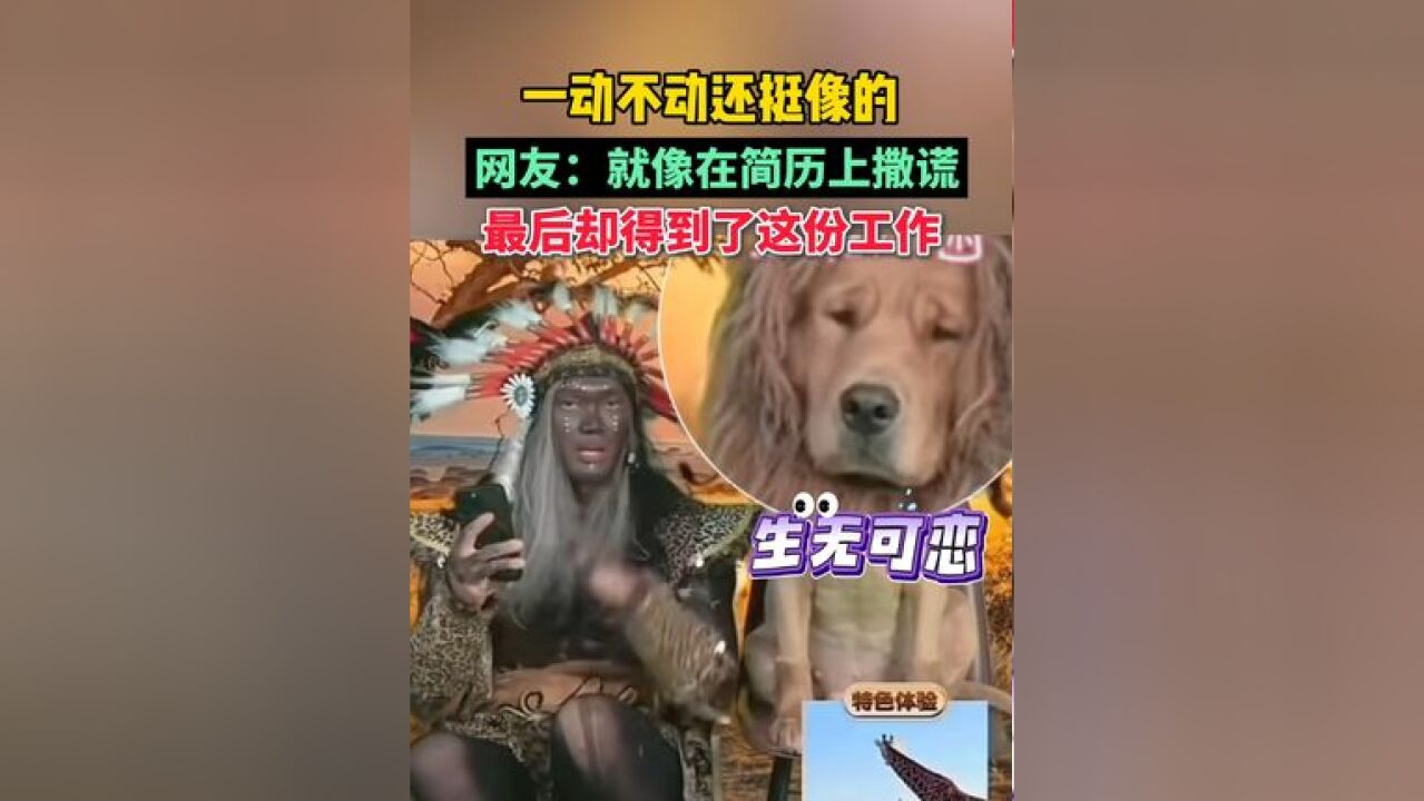 @BRTV新闻 账号发布