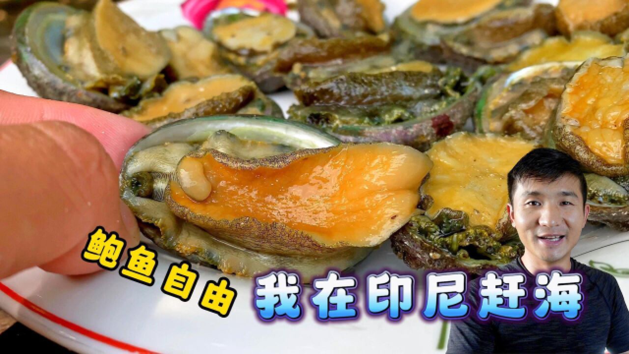 《印尼ⷥ𗴥𘃤𚚣€‹第11集:这绝对是个宝藏赶海地,鲍鱼随处可见