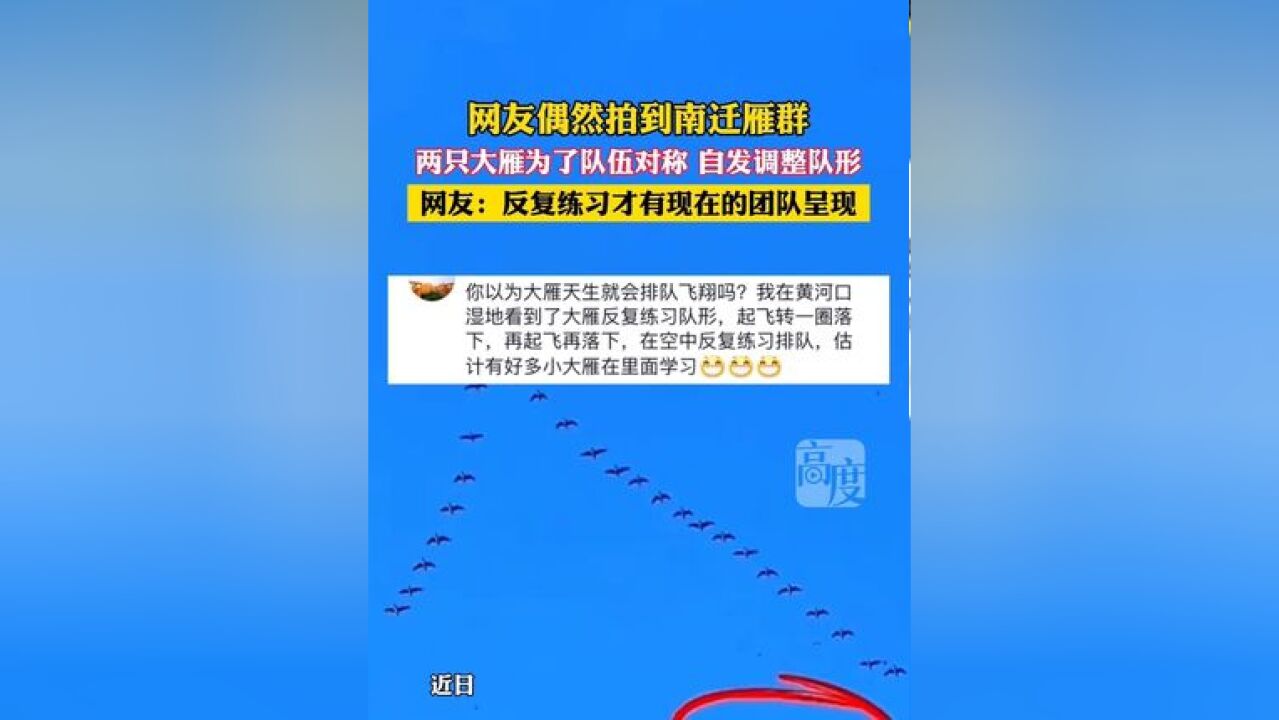 网友偶然拍到南迁的雁群