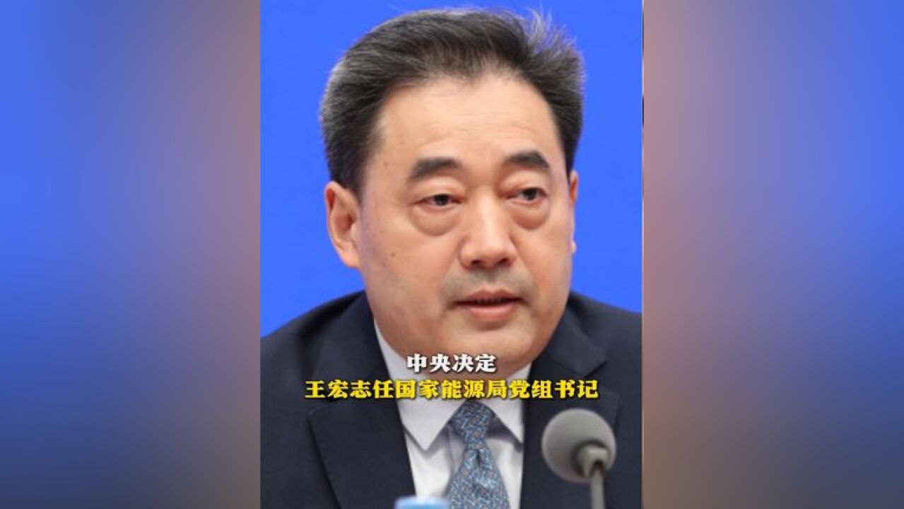 中央决定,王宏志任国家能源局党组书记