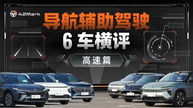 2,400 km 测试、8 T 素材,谁才是最好用的导航辅助驾驶?