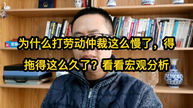 为什么打劳动仲裁这么慢了,得拖得这么久了?看宏观分析心里有数