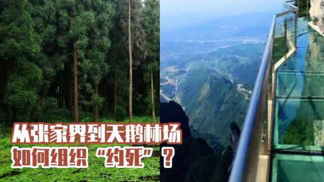 从湖南到四川,16天两起组团自杀事件,网络约死谁来管一管?