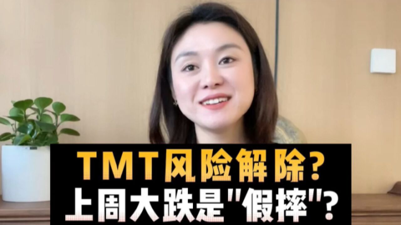 TMT风险解除?上周大跌是＂假摔＂?