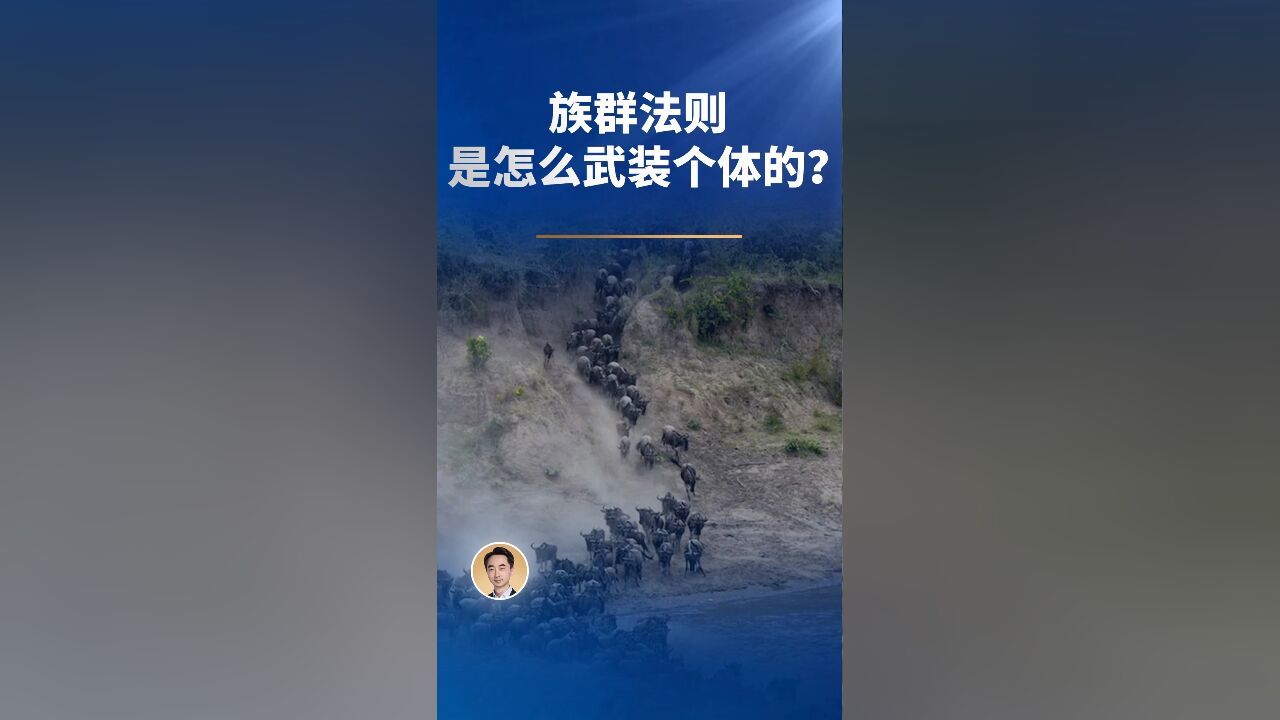 族群法则,是怎么武装个体的?