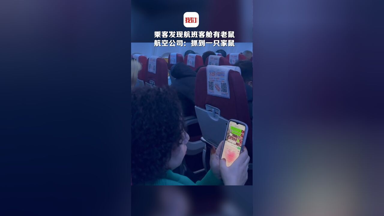 航班飞行中乘客发现客舱有老鼠乱窜 航空公司:抓到一只家鼠 飞机状态正常