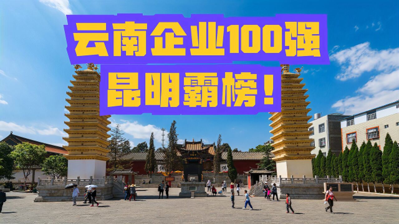 2023云南企业100强发布!昆明包揽59家,玉溪10家,你家乡有多少?