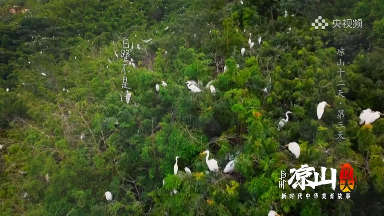 听 ⷠ见凉山|孩子们的诗有多美