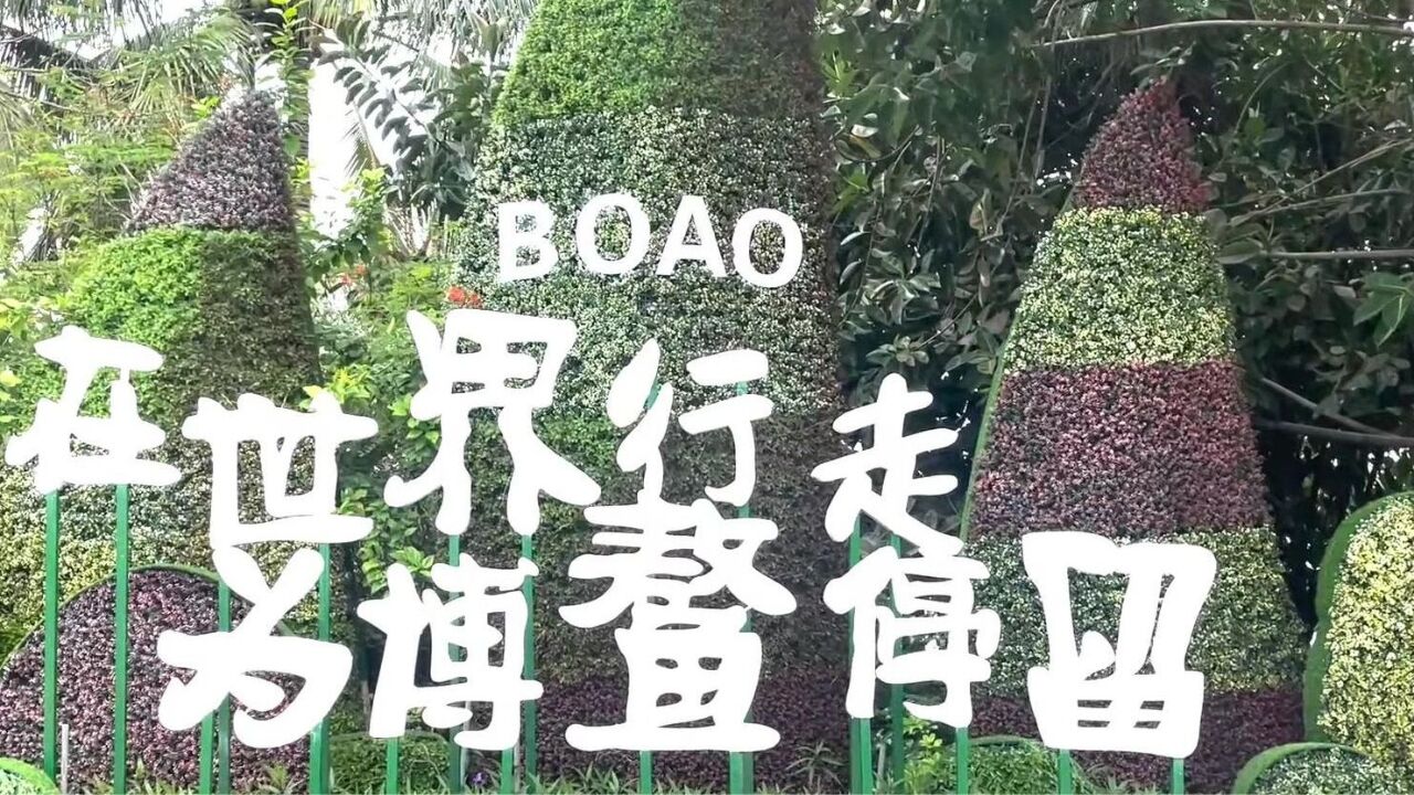 来博鳌品茶:以茶促交流 传播中国茶文化