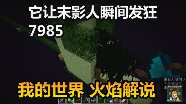 我的世界 火焰解说 7995 隔着空气墙外嘚瑟找打