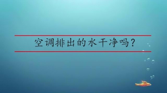 空调排出的水干净吗?