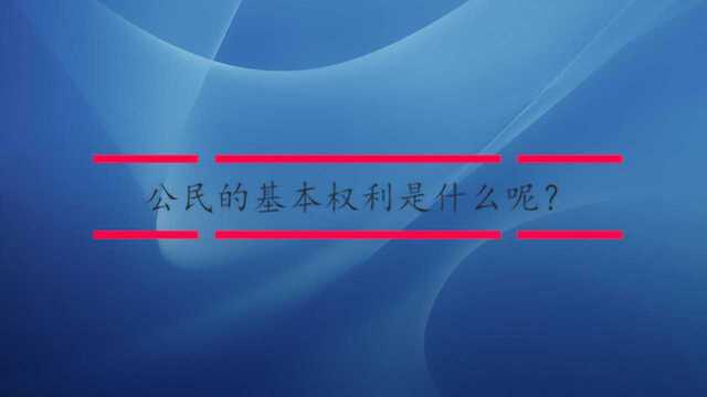 公民的基本权利是什么呢?