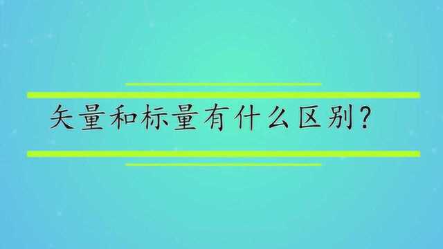 矢量和标量有什么区别?