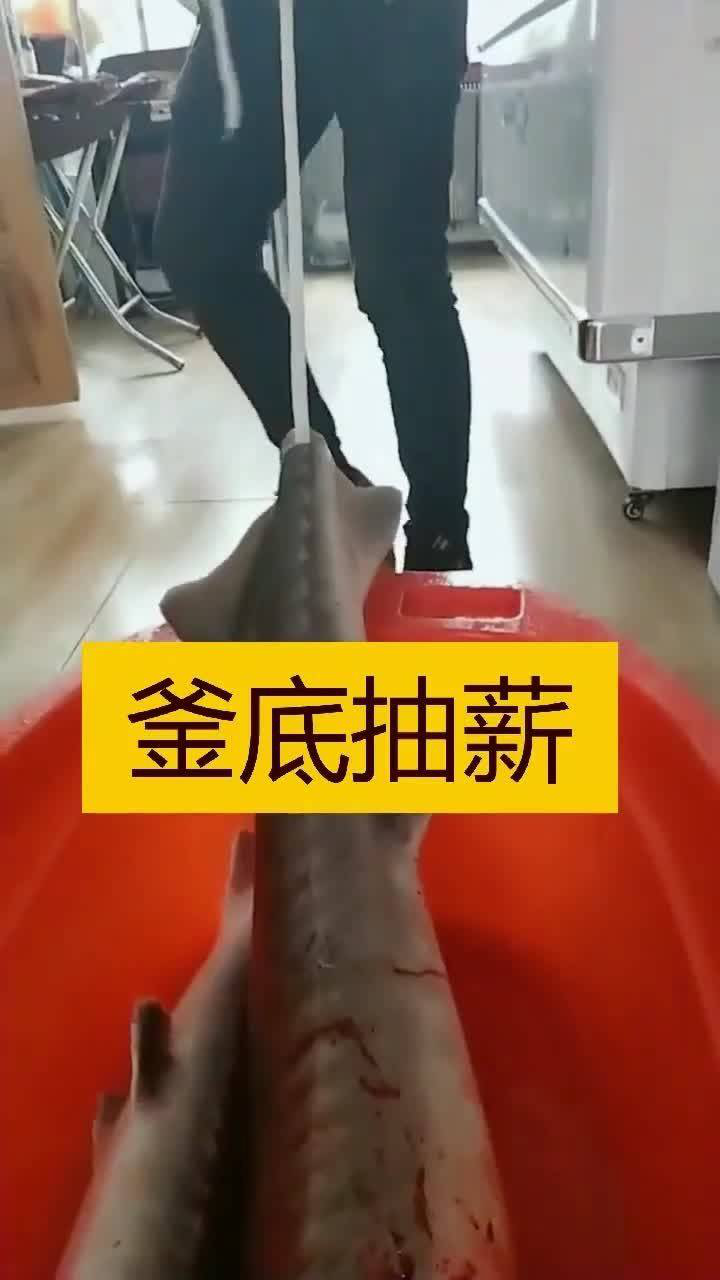 第一次见这样抽龙筋的看到牛人的操作真是开眼了