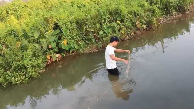 水库关闸,看到河里有很多鱼,赶紧回去拿网来下,看看收获如何