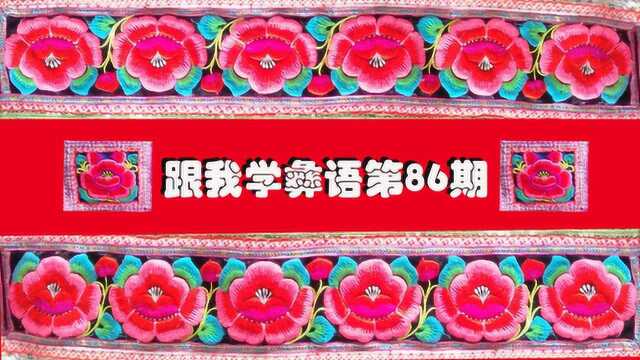 跟我学彝语86解读单位门牌彝文字