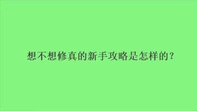 想不想修真的新手攻略是怎样的?