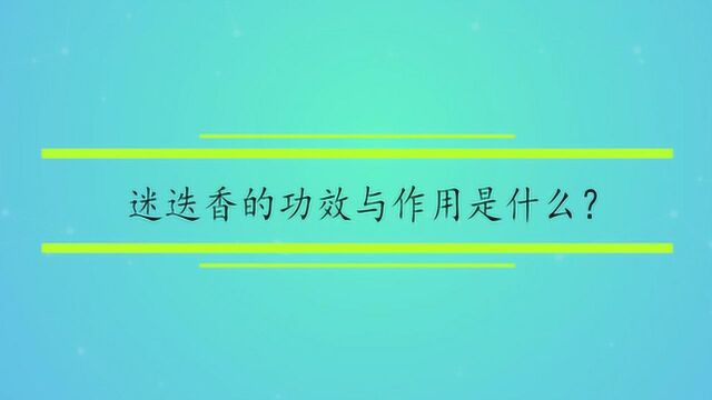 迷迭香的功效与作用是什么?