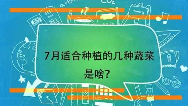 7月适合种植的几种蔬菜是啥?