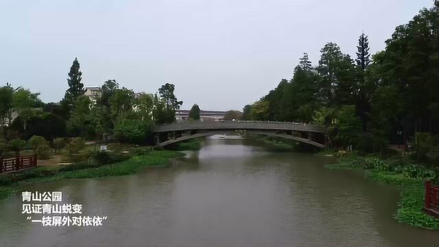 青山绿水红钢城——漫游青山