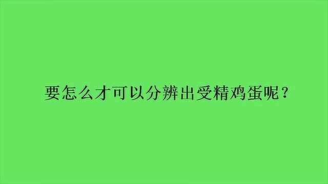 要怎么才可以分辨出受精鸡蛋呢?