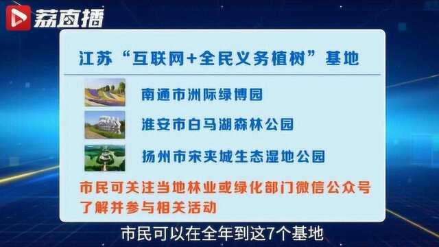 足不出户也能植树!江苏建了7个互联网+义务植树基地|黄金时间