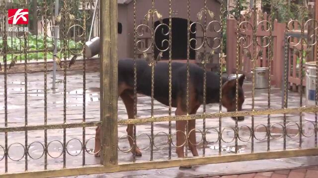 禁养犬还不牵狗绳,小区居民担惊受怕,举报后民警上门处理