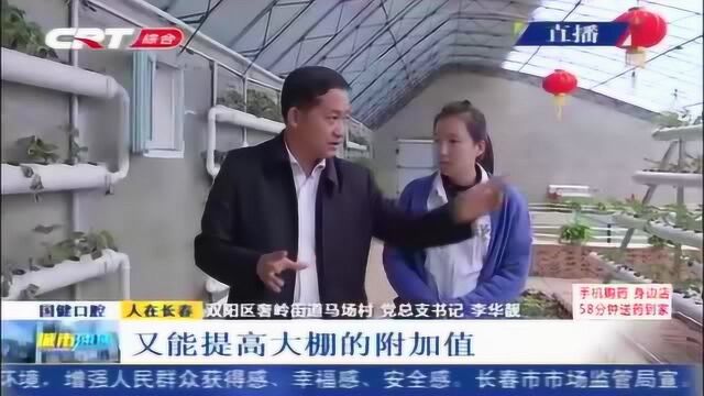 我不服输!从“打工仔”到“当家人”这个村支书不一般!