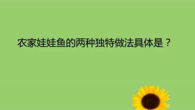 农家娃娃鱼的两种独特做法具体是?