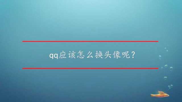 qq应该怎么换头像呢?