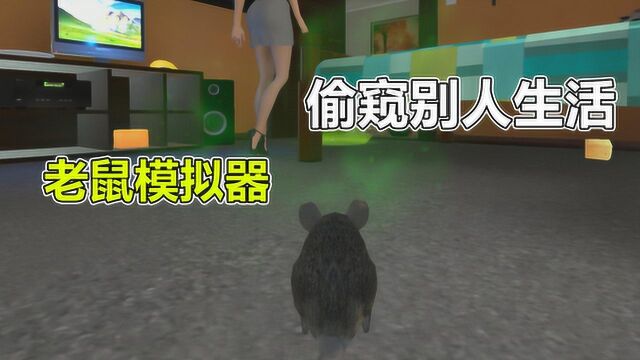 老鼠模拟器1:从垃圾桶获得瘟疫 去房子里感染人类