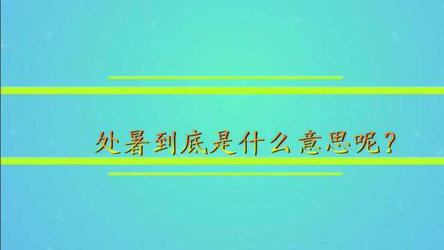 处暑到底是什么意思呢?