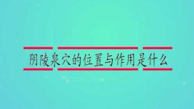 阴陵泉穴的位置与作用是什么