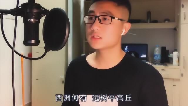 翻唱:吹梦到西洲cover妖扬/黄诗扶,无何化有,感物知春秋