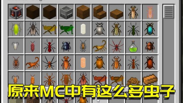 我的世界Mod:泥土里竟然藏着无数昆虫!千万不要再挖土了!