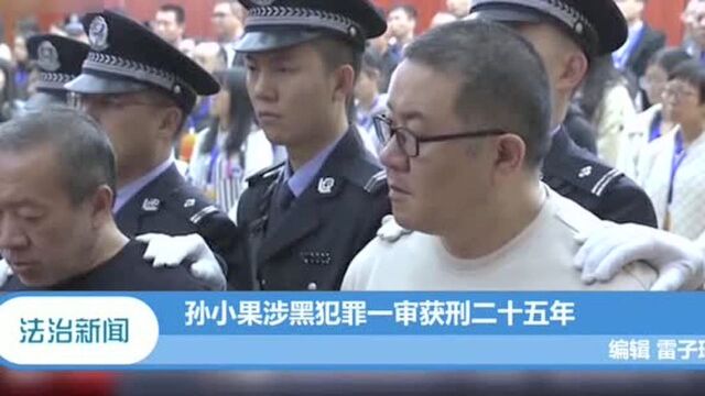 孙小果涉黑犯罪一审获刑25年,专家:这不是最终的决判