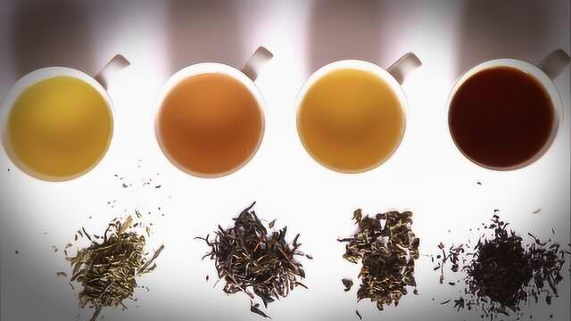 绿茶白茶红茶黑茶…那么多种类的茶,竟然都是意外产物?