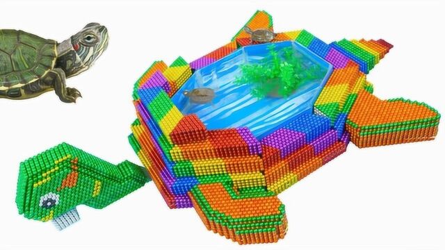 豪华版乌龟鱼缸,你绝对没见过,利用巴克球制作金鱼缸