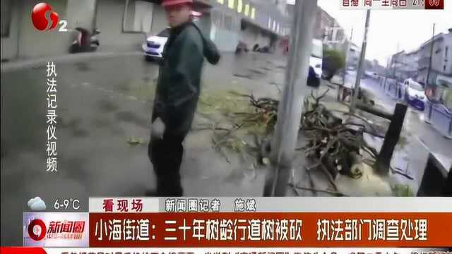 南通小海街道:三十年树龄行道树被砍 执法部门调查处理