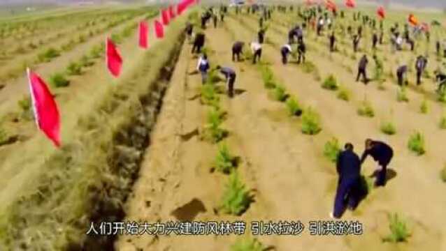 中国治理沙漠成功?沙漠80%变绿洲?沙漠腹地累计农田达到160万亩