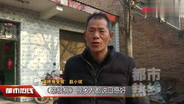 “灞桥难受哥”走红网络 短视频平台为农产品销售开新路