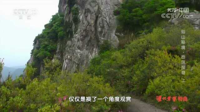 象山花岙岛探秘