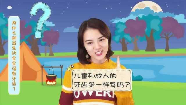 为什么刚出生的宝宝没牙齿呢