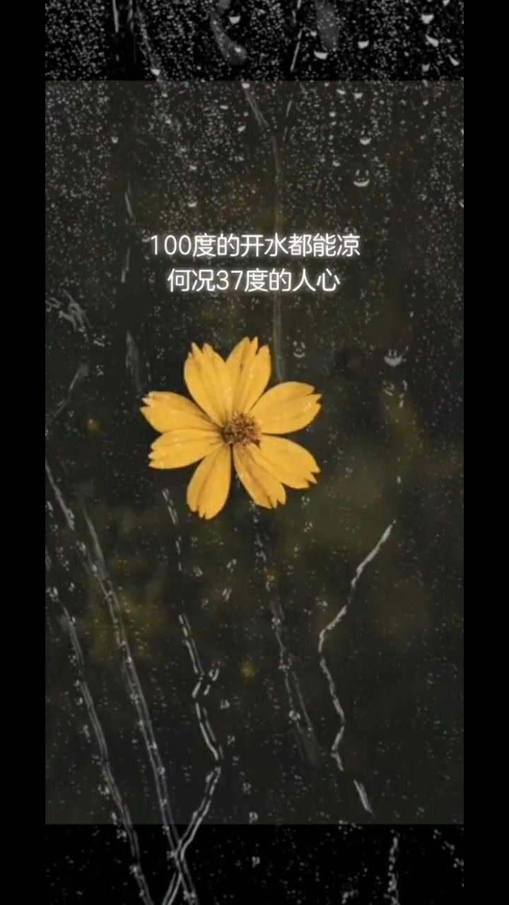 100度的开水都会凉,何况37度的人心