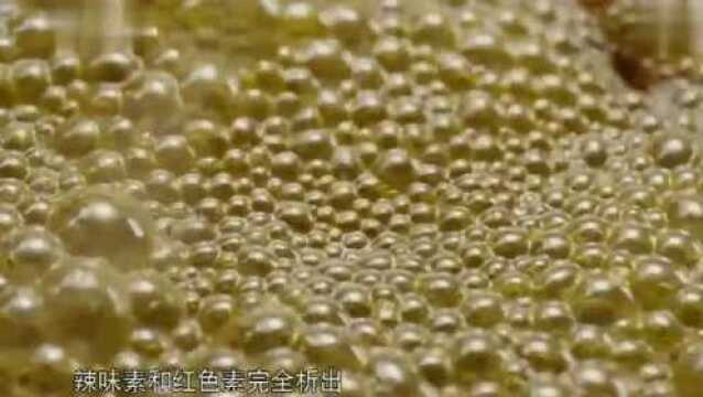 《舌尖上的中国》色泽红艳,香气逼人!菜籽油完成了华丽的转身!