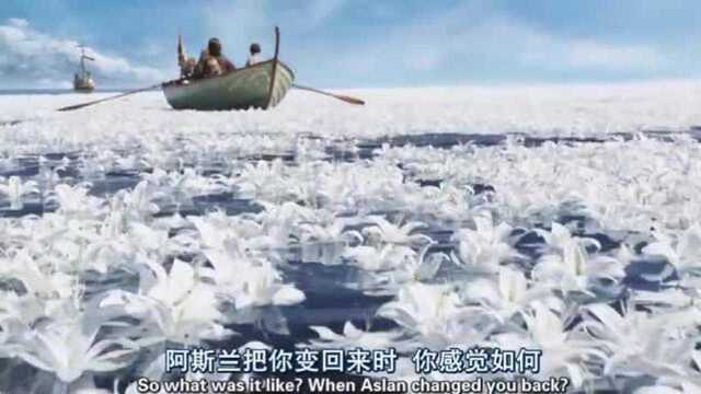 海水尝起来是甜的,众人一看远处才发现,海面上都是白色的花朵